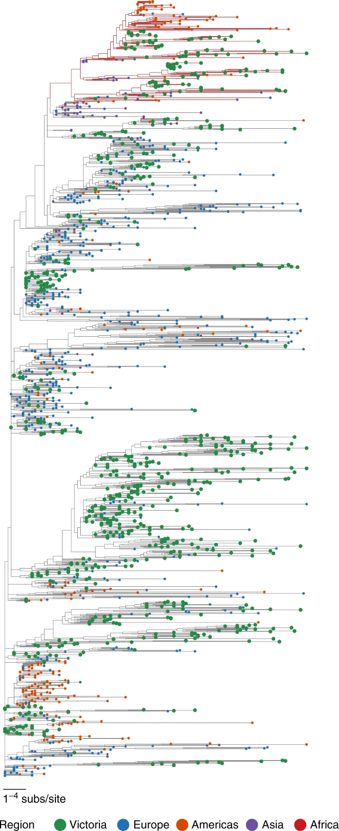 Phylogenetic tree from the lab&rsquo;s paper in Nature