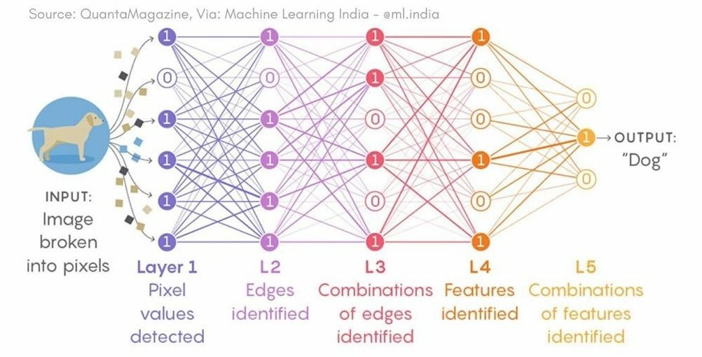 Example neural network diagram from Quanta Magazine