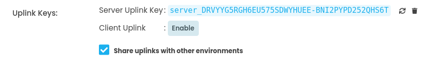 The 'Share Uplink with other environments' checkbox